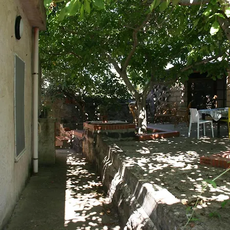 Il Noce Nascosto Flussio